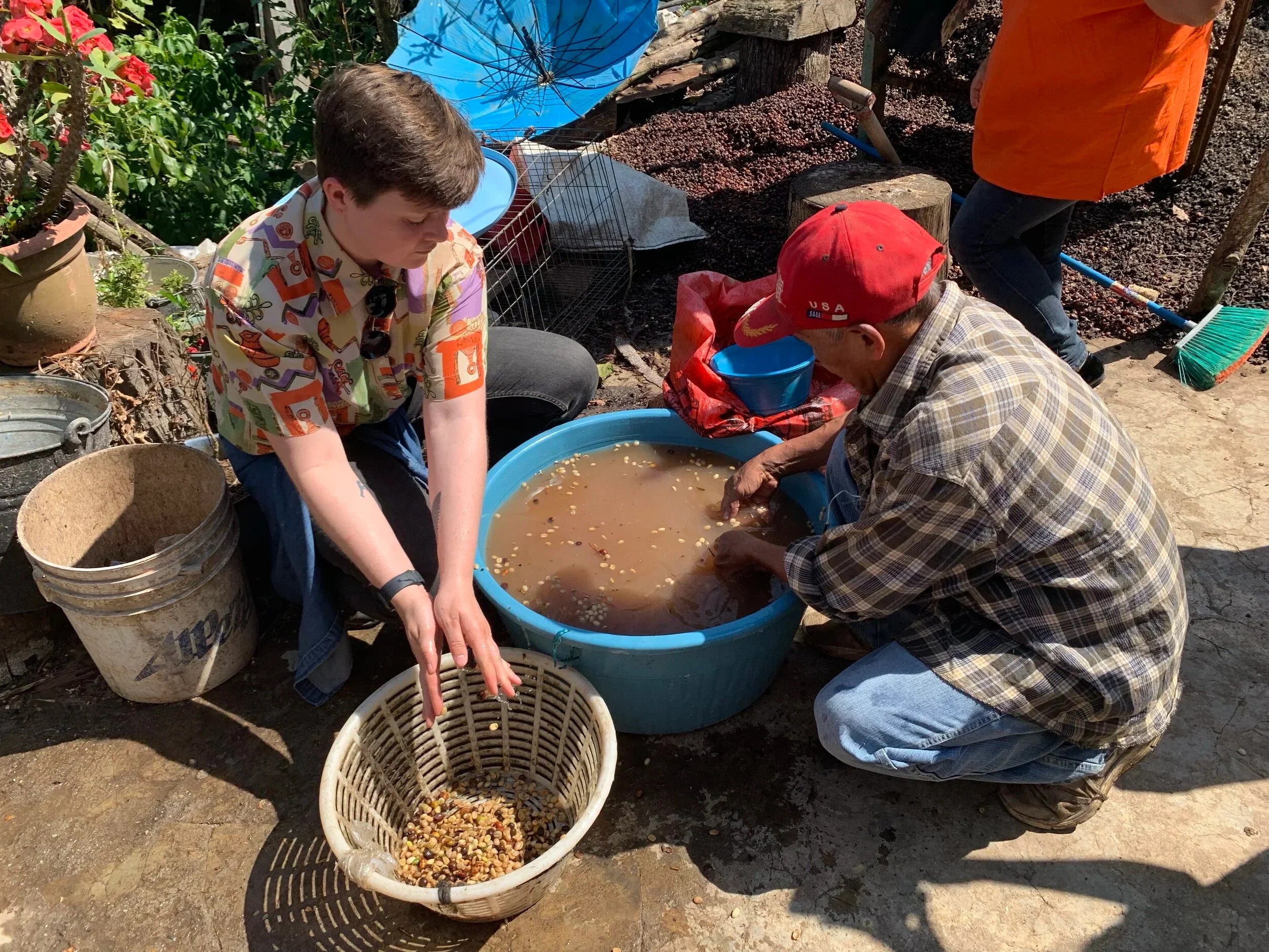 Part One, Returning to Origin: A Series on Our Partnership with Mayan Harvest