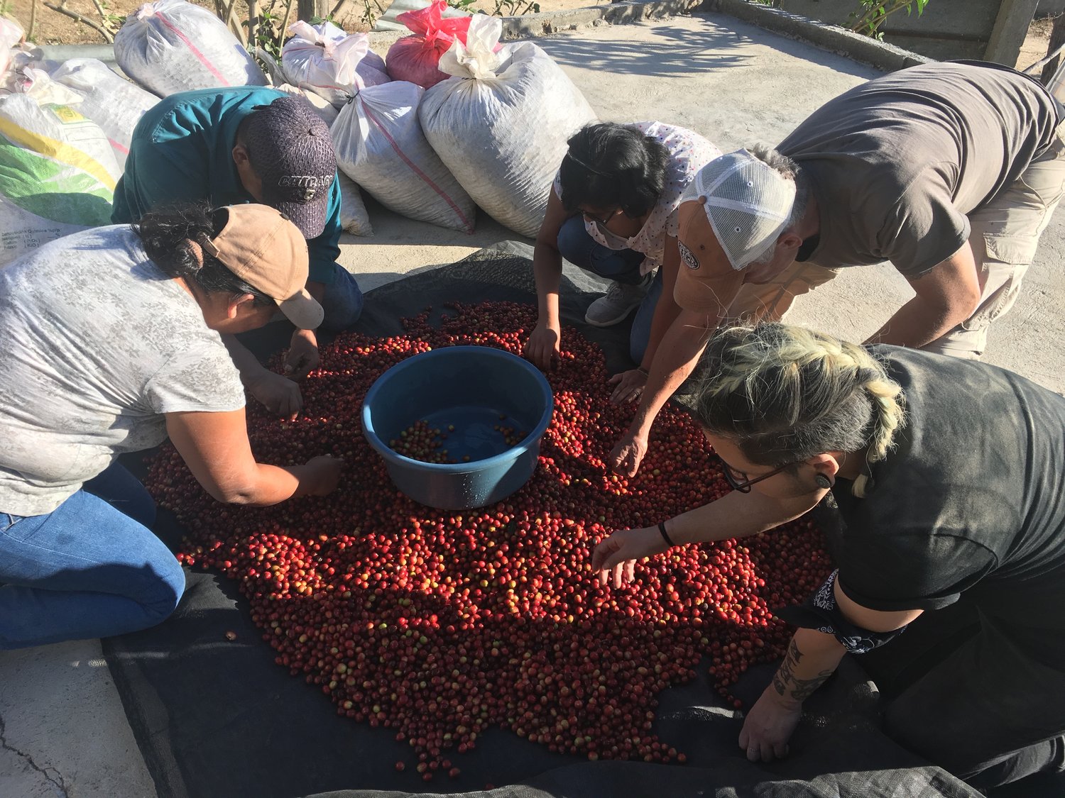 Updates from Catracha Coffee Pt. 2: The Blockchain Project