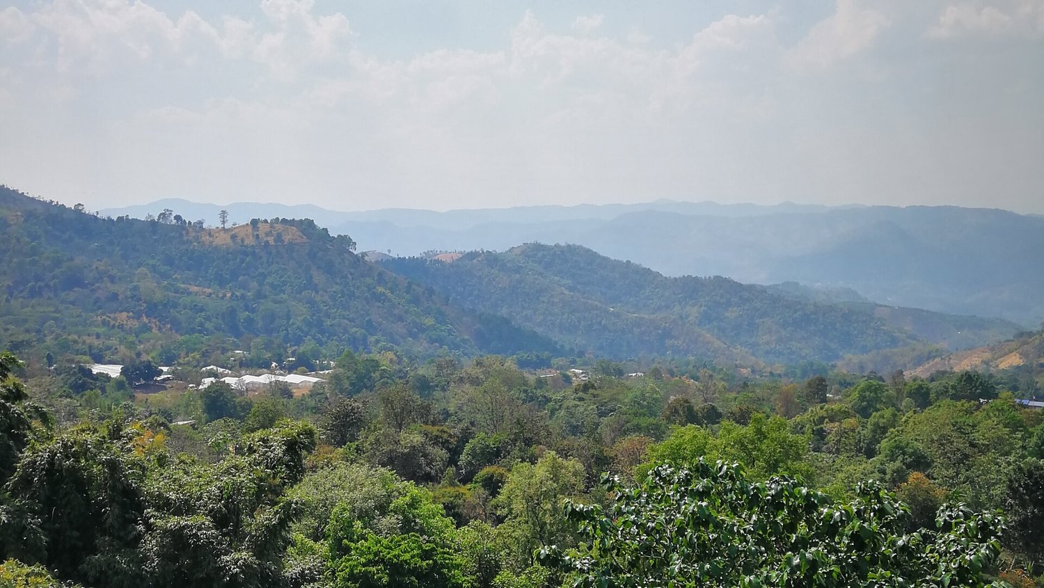 Oh, It'll Come: Thailand Doi Pangkhon Beanspire