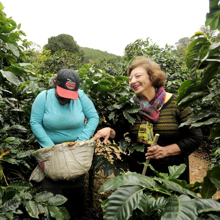 Welcoming Nicaraguan Coffee Back to Our Line Up