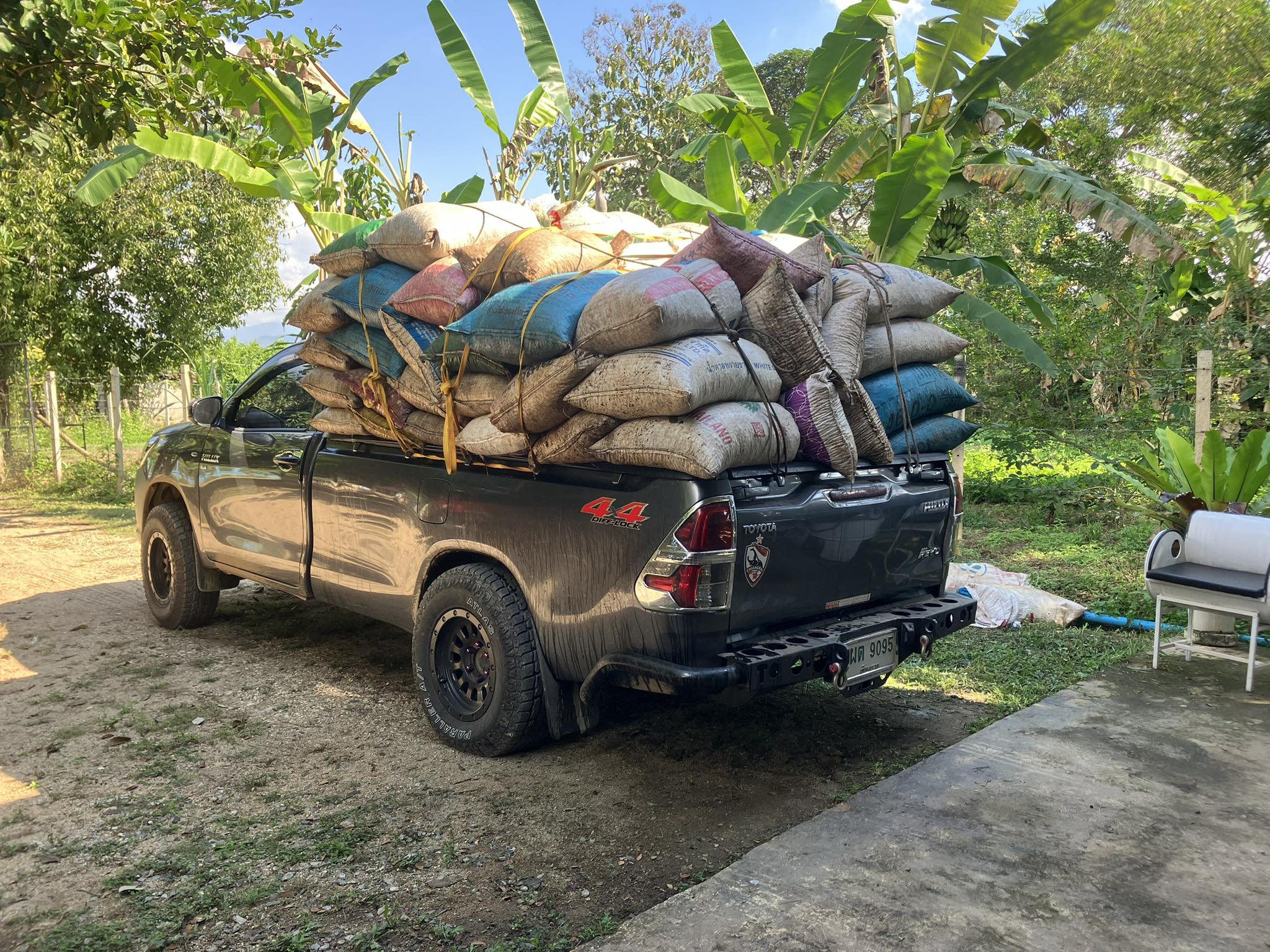The Driving Force Behind Specialty Coffee in Thailand