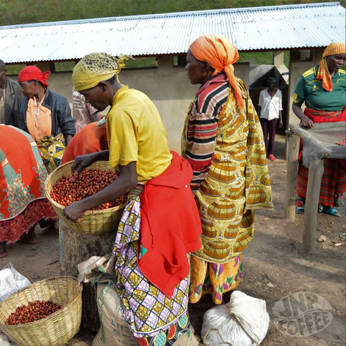 Turihamwe: Burundi's First Women-Owned Washing Station